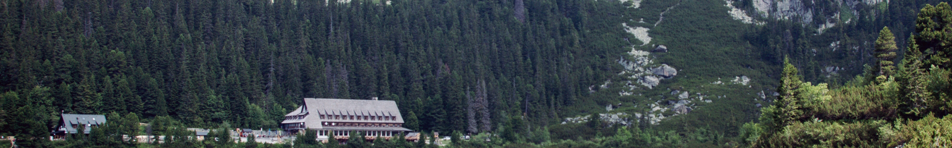 a38b33d0-811f-42d5-8593-0053986d4e95