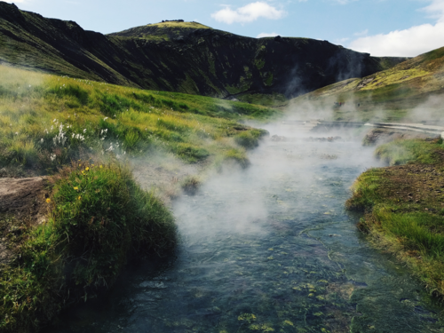 olena-shmahalo-gSIqw8zo0QQ-unsplash