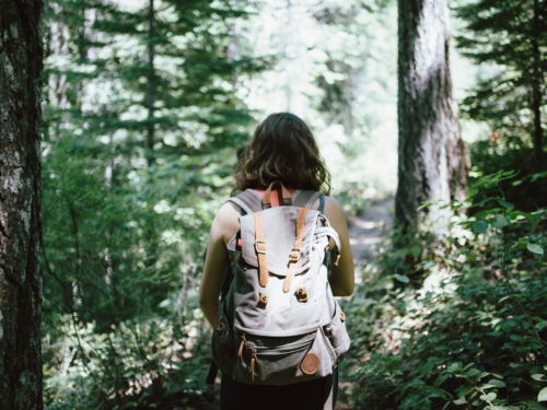 16abed5b-ab9e-4b52-8272-7fc221059c14