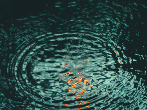 f75b4342-e665-4c4c-ac54-56f8eeeeff73